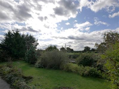 Picture 14